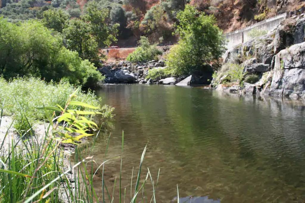 Photo of Others in Three Rivers