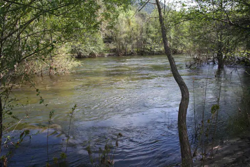 Photo of Others in Three Rivers