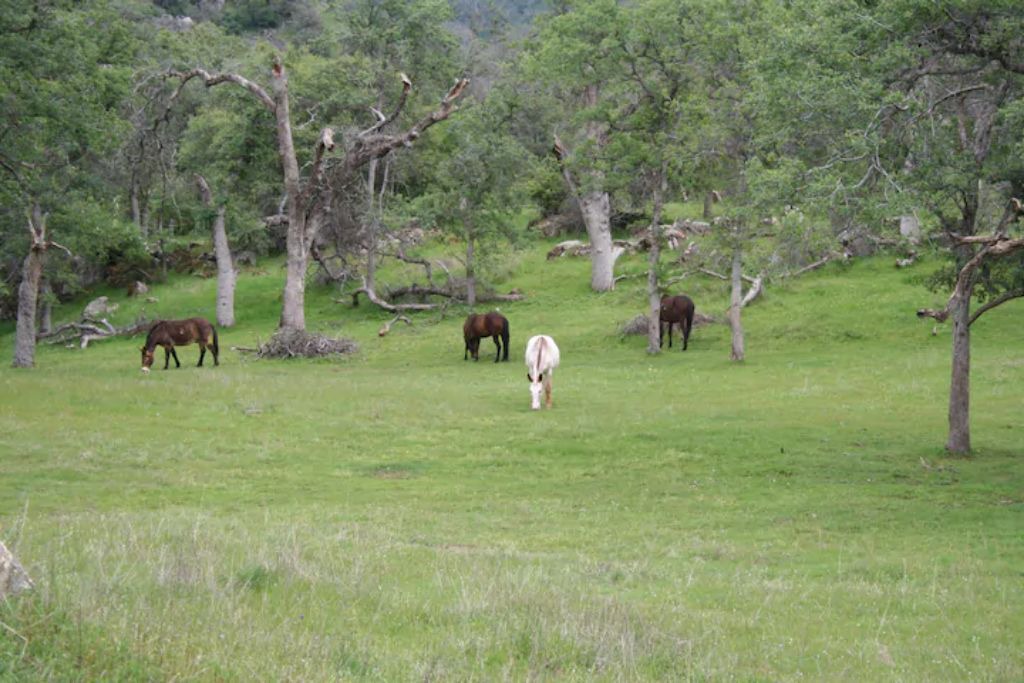 Photo of Others in Three Rivers
