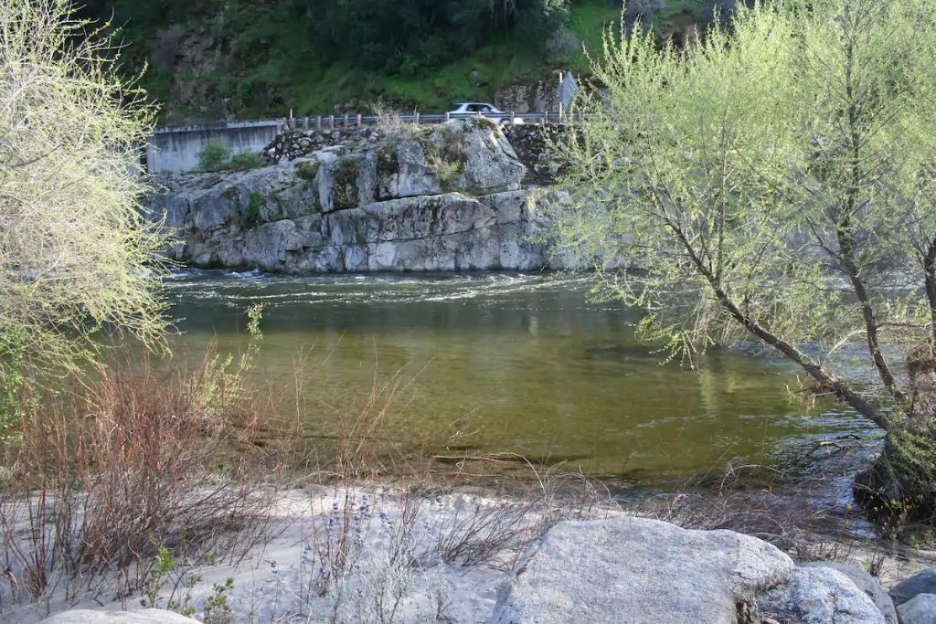 Photo of Others in Three Rivers