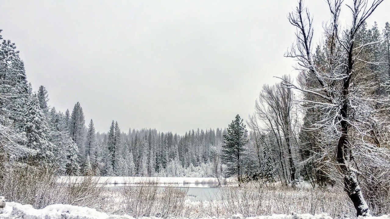 Photo of Others in Hathaway Pines