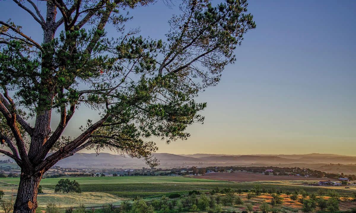 Photo of Others in Paso Robles