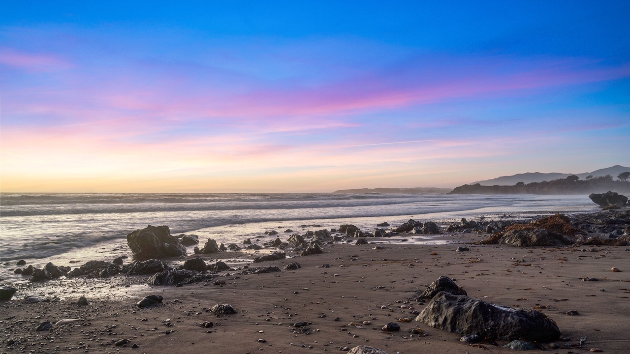 Photo of Others in San Simeon