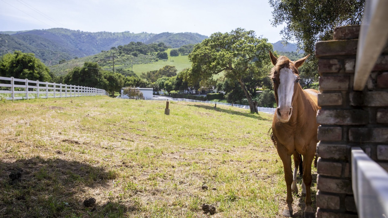 Photo of Outdoor in Salinas
