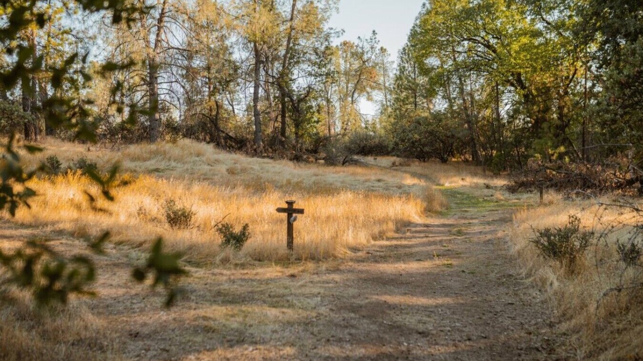 Photo of Others in Mariposa