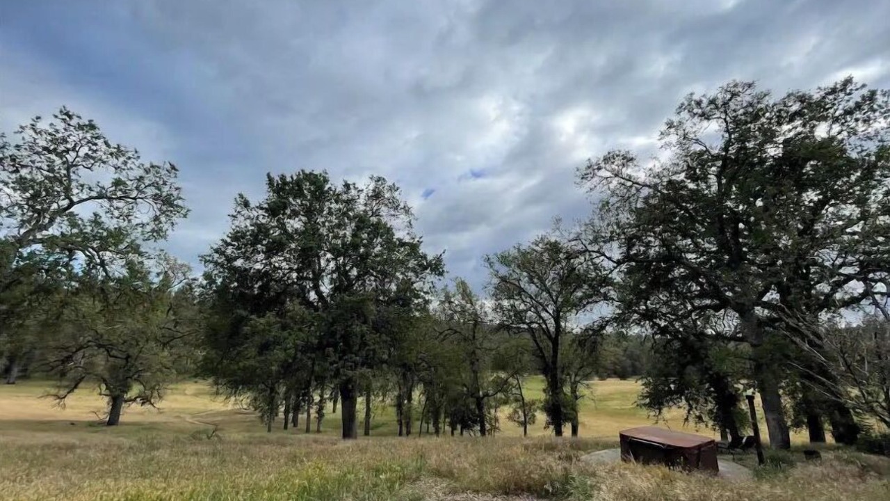 Photo of Outdoor in Groveland
