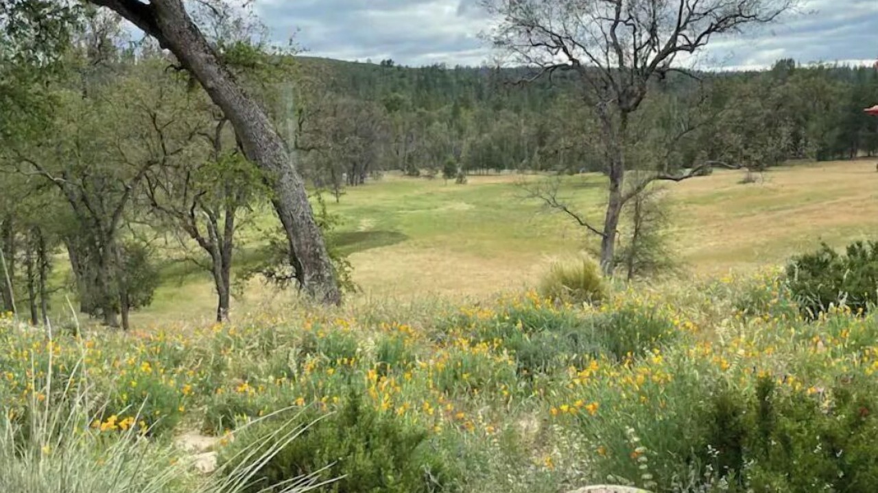 Photo of Outdoor in Groveland