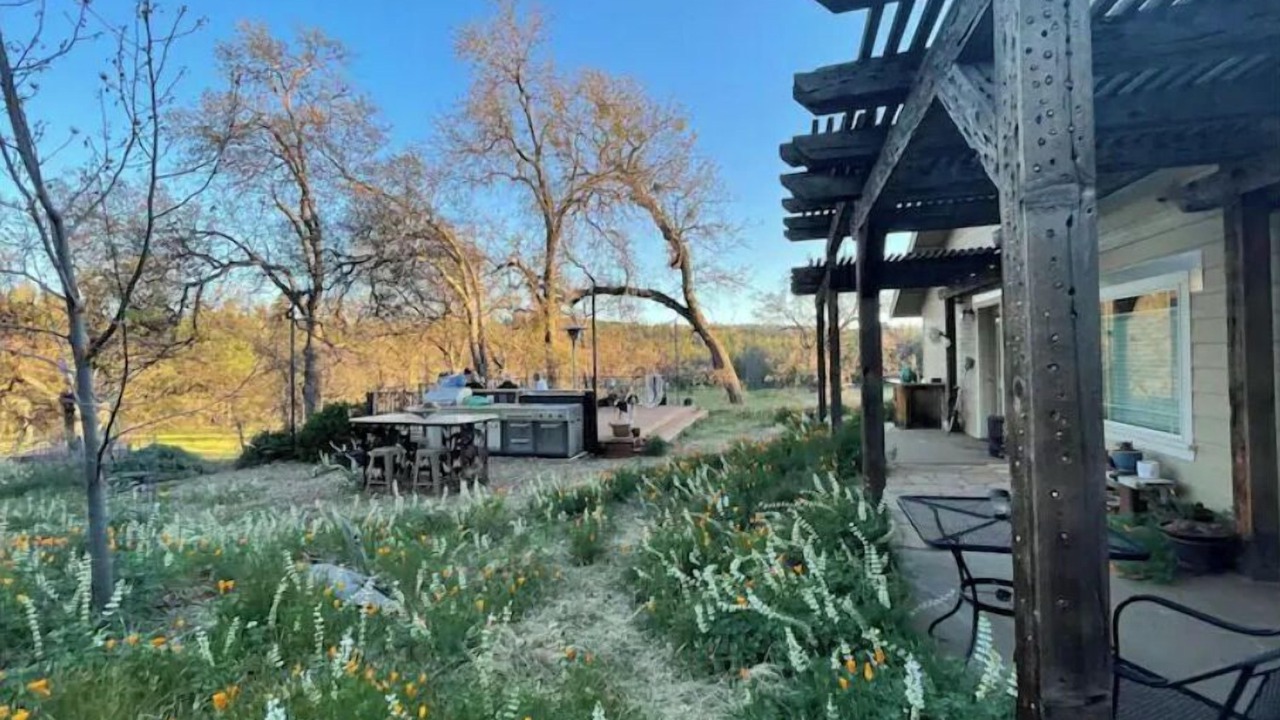 Photo of Outdoor in Groveland