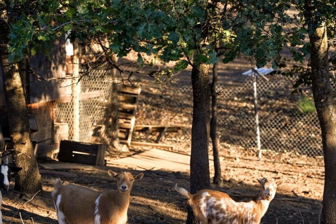 Photo of Outdoor in Pinehurst