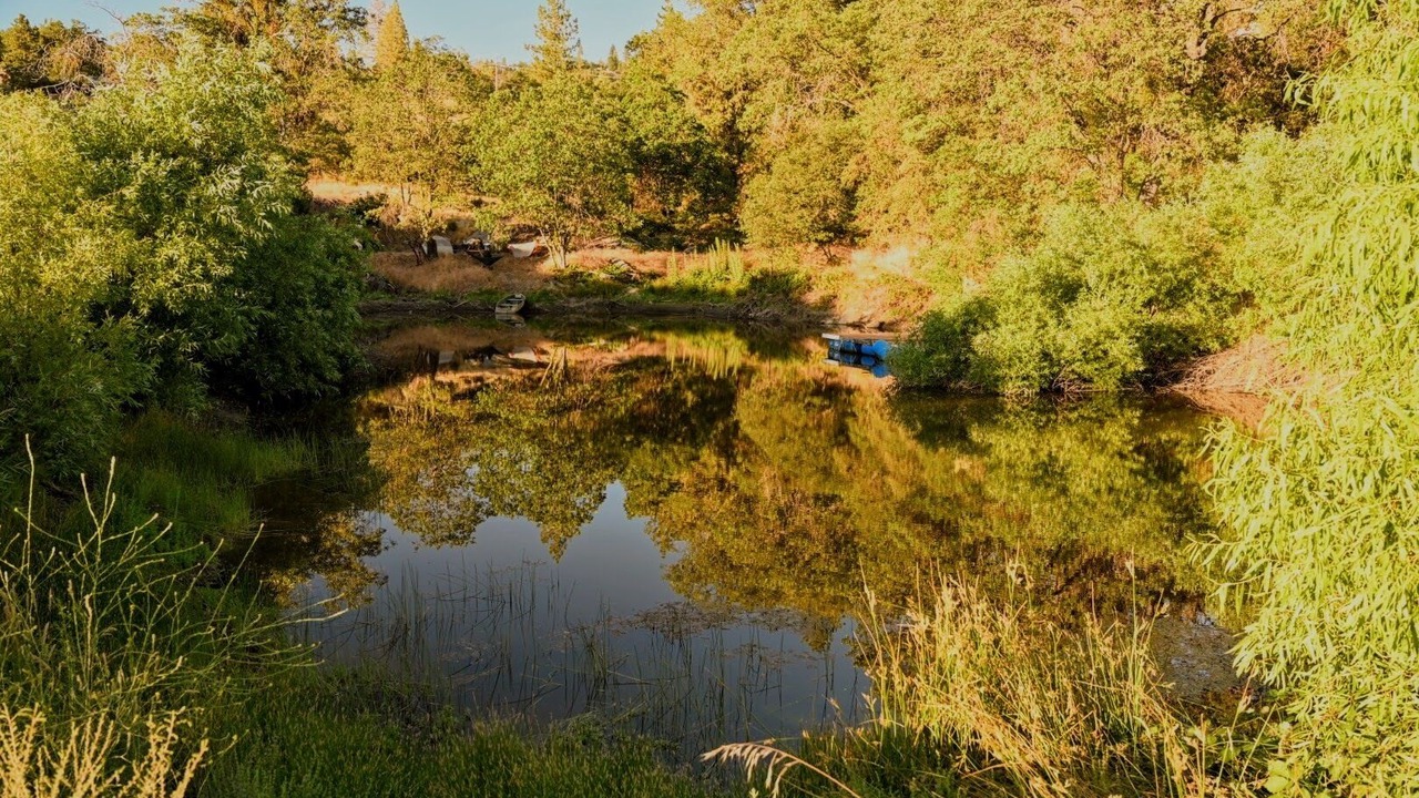 Photo of Outdoor in Pinehurst