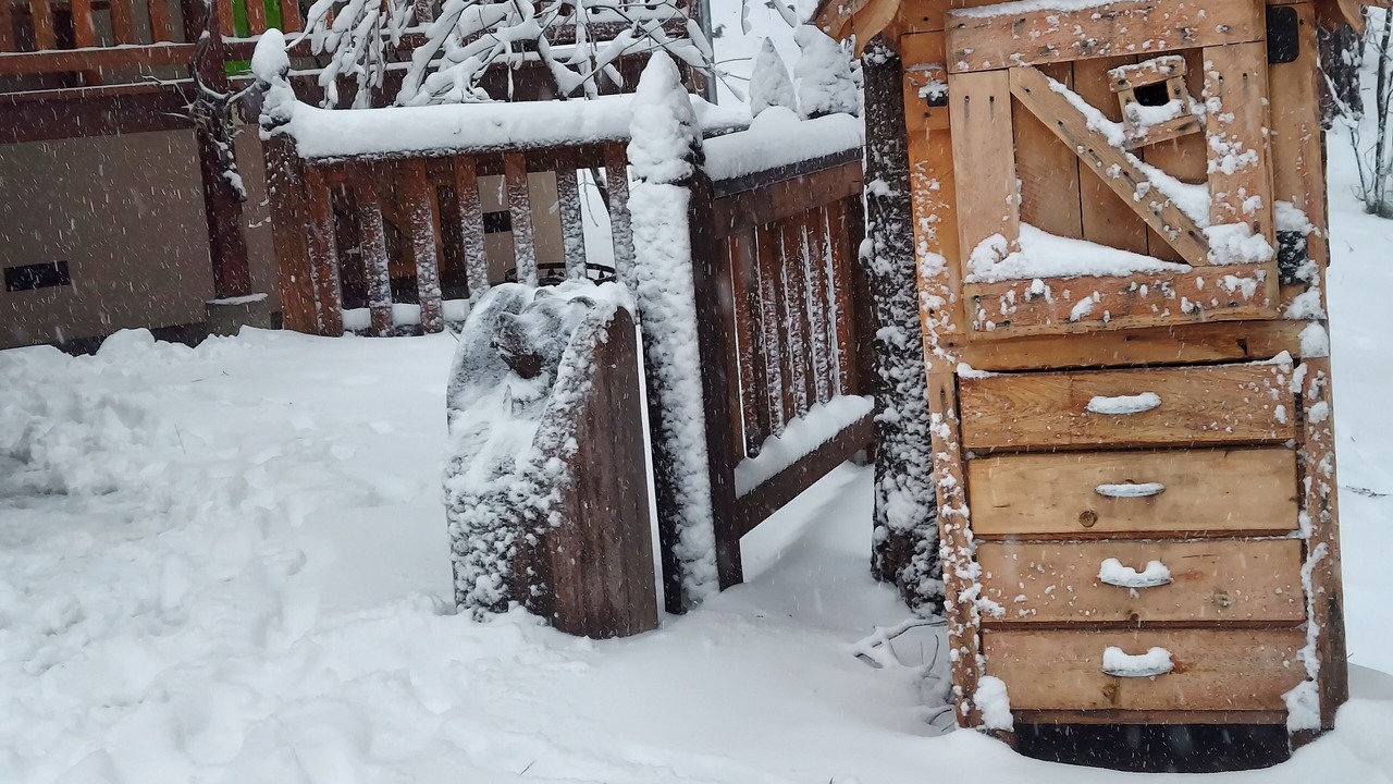 Photo of Outdoor in Glencoe