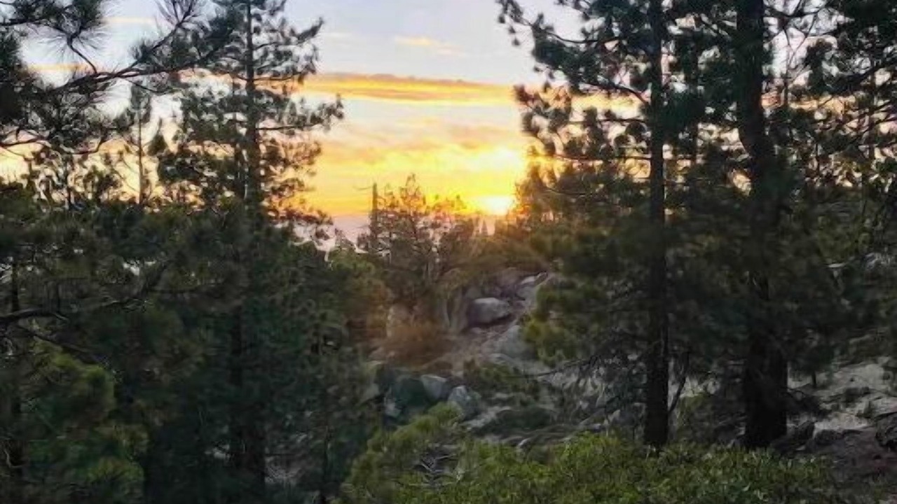 Photo of Others in Tahoe Village