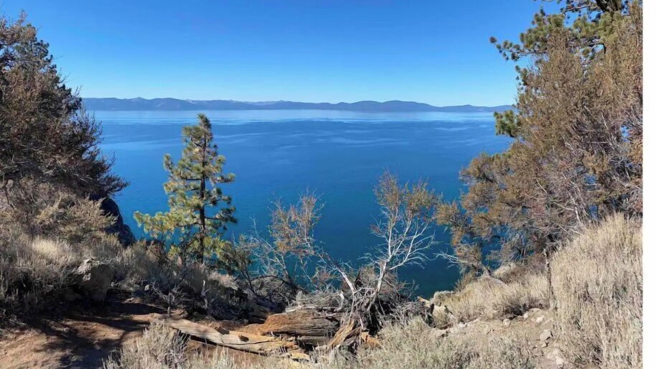 Photo of Others in Tahoe Village