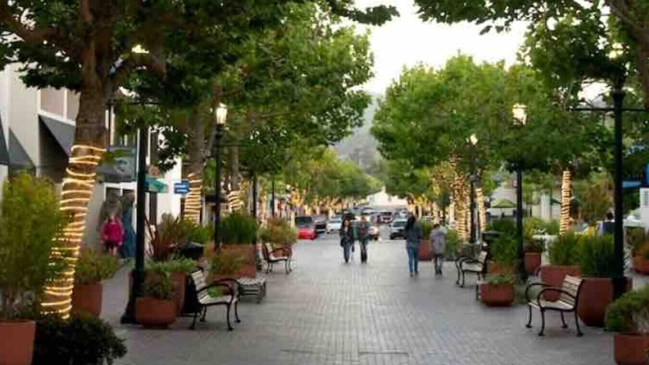 Photo of Others in Marina