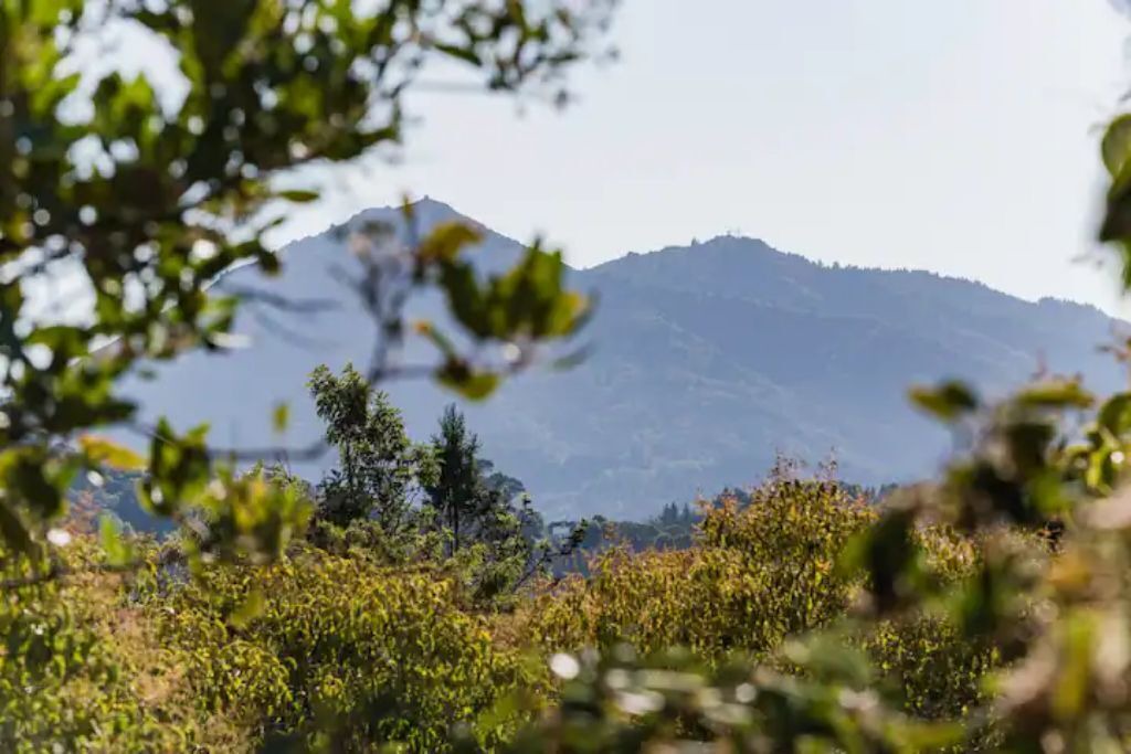 Photo of Outdoor in San Rafael