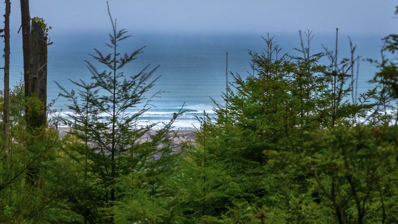 Photo of Outdoor in Fort Bragg