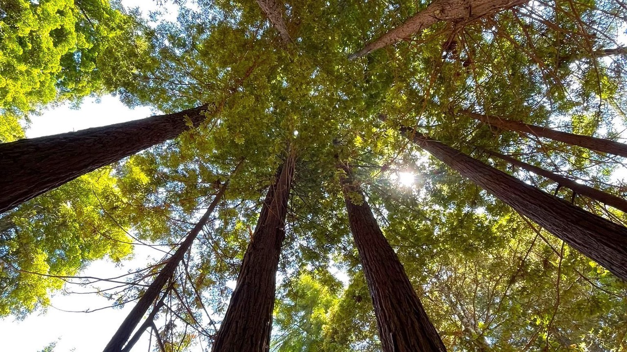 Photo of Outdoor in Fort Bragg