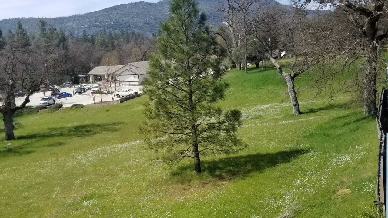 Photo of Outdoor in Oakhurst