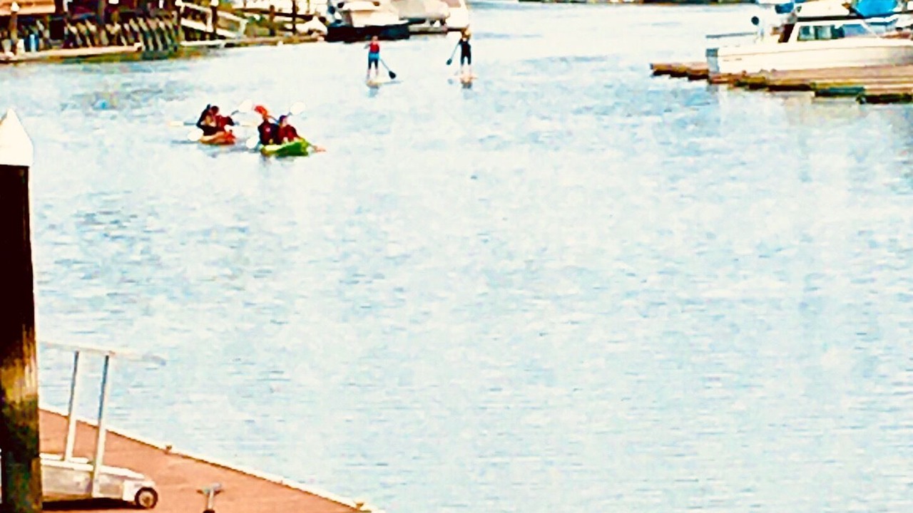 Photo of Others in San Rafael