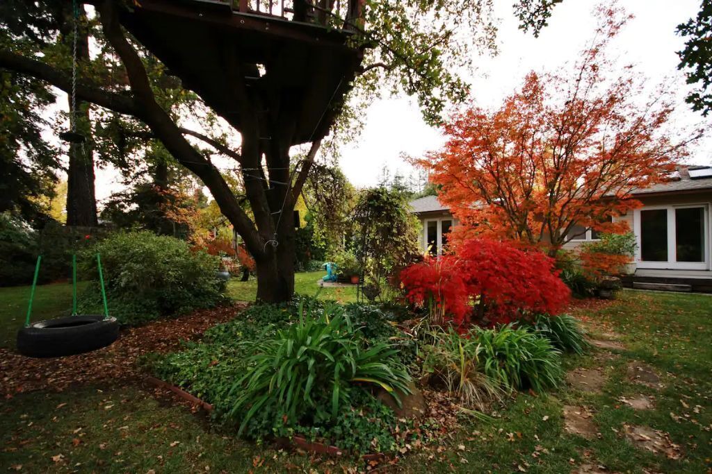 Photo of Outdoor in Stanley