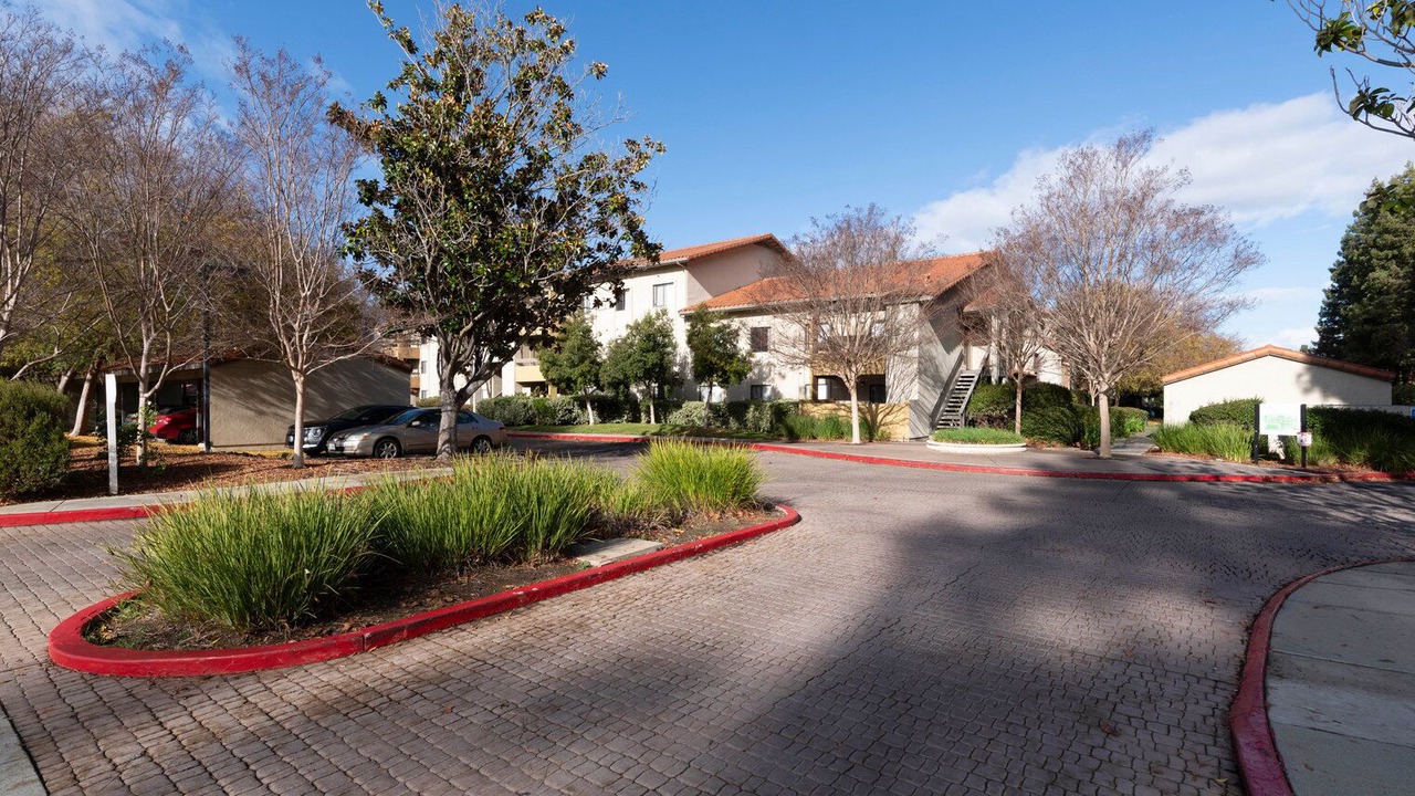 Photo of Outdoor in Shoreline West