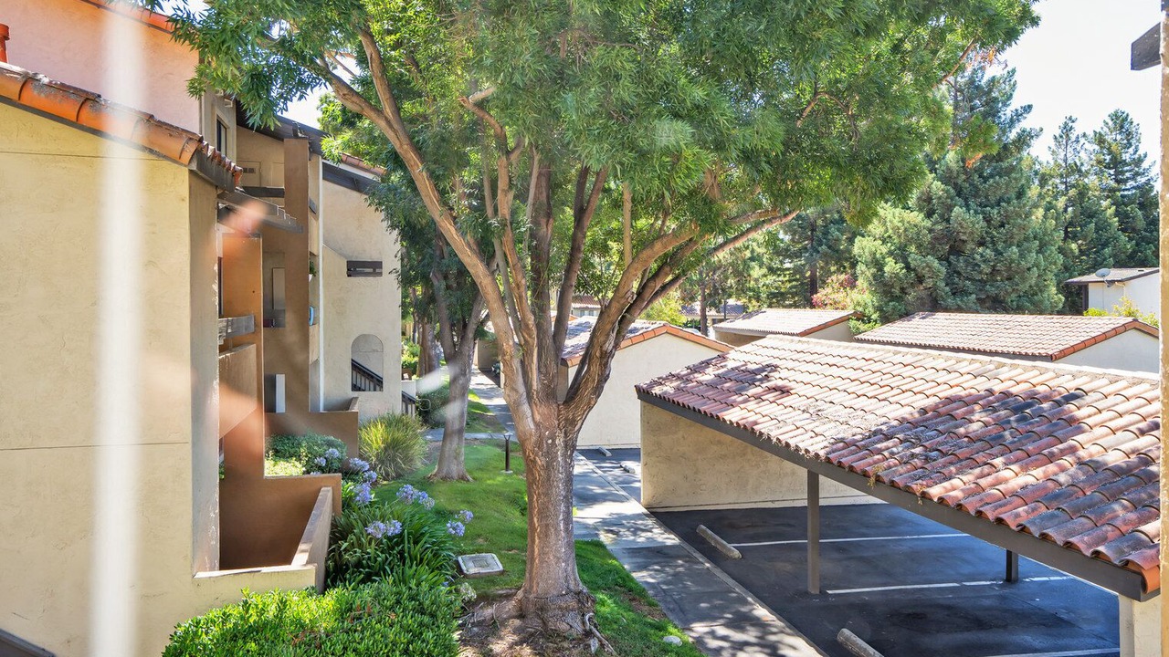 Photo of Outdoor in Shoreline West