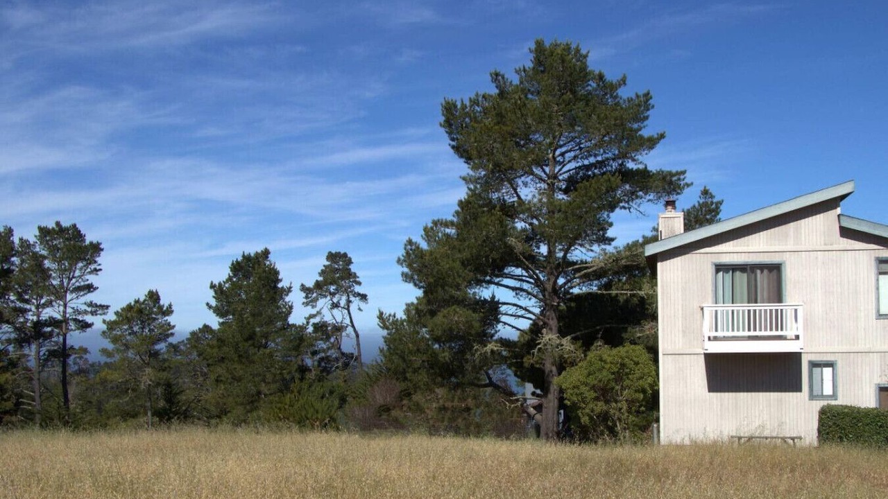 Photo of Outdoor in Lodge Hill