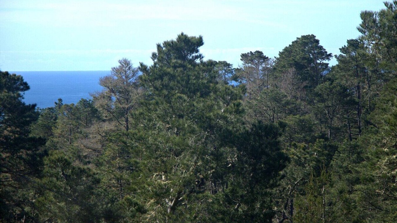 Photo of Others in Lodge Hill