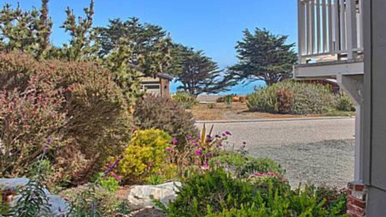 Photo of Outdoor in San Simeon
