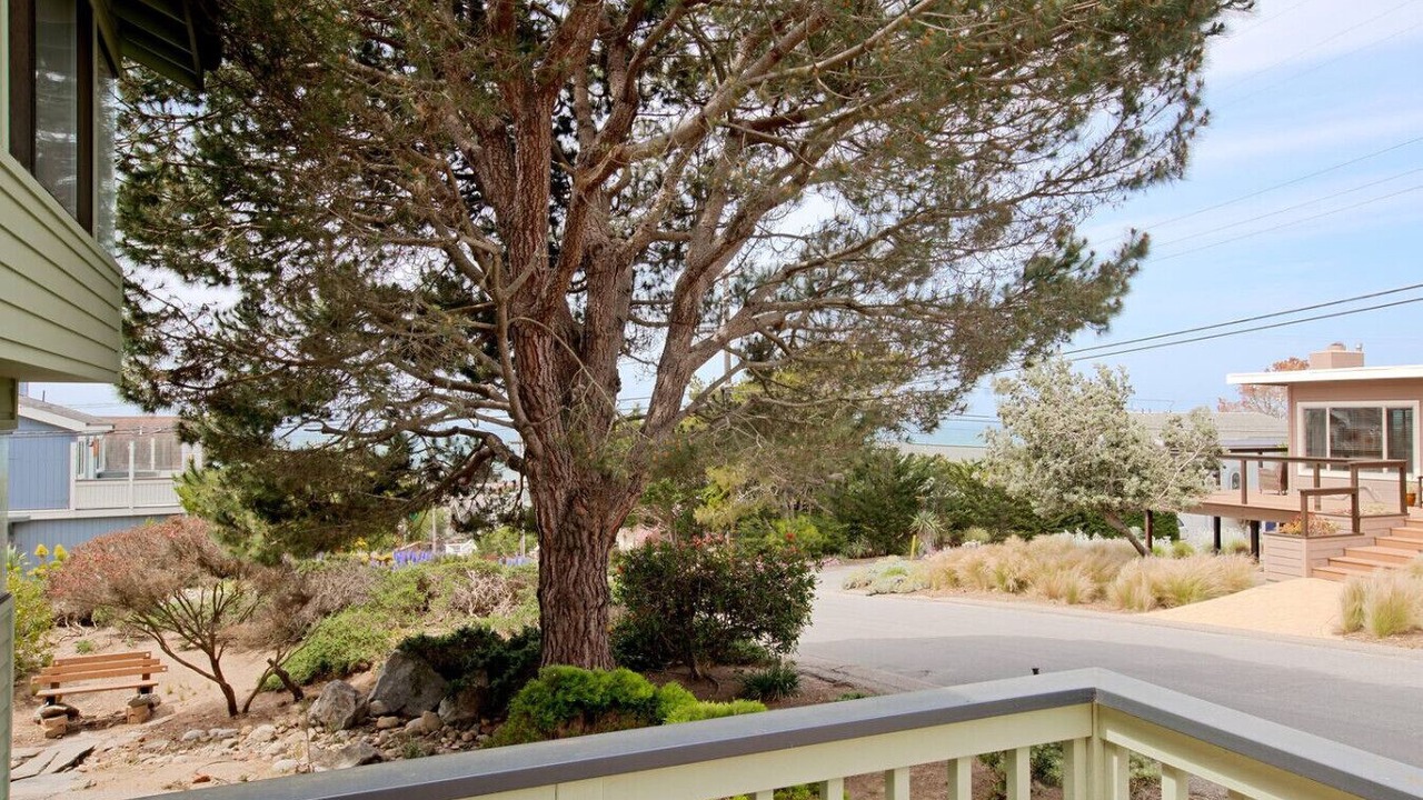 Photo of Others in Marine Terrace