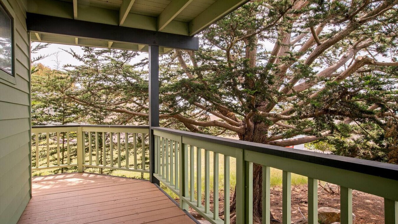 Photo of Outdoor in Marine Terrace