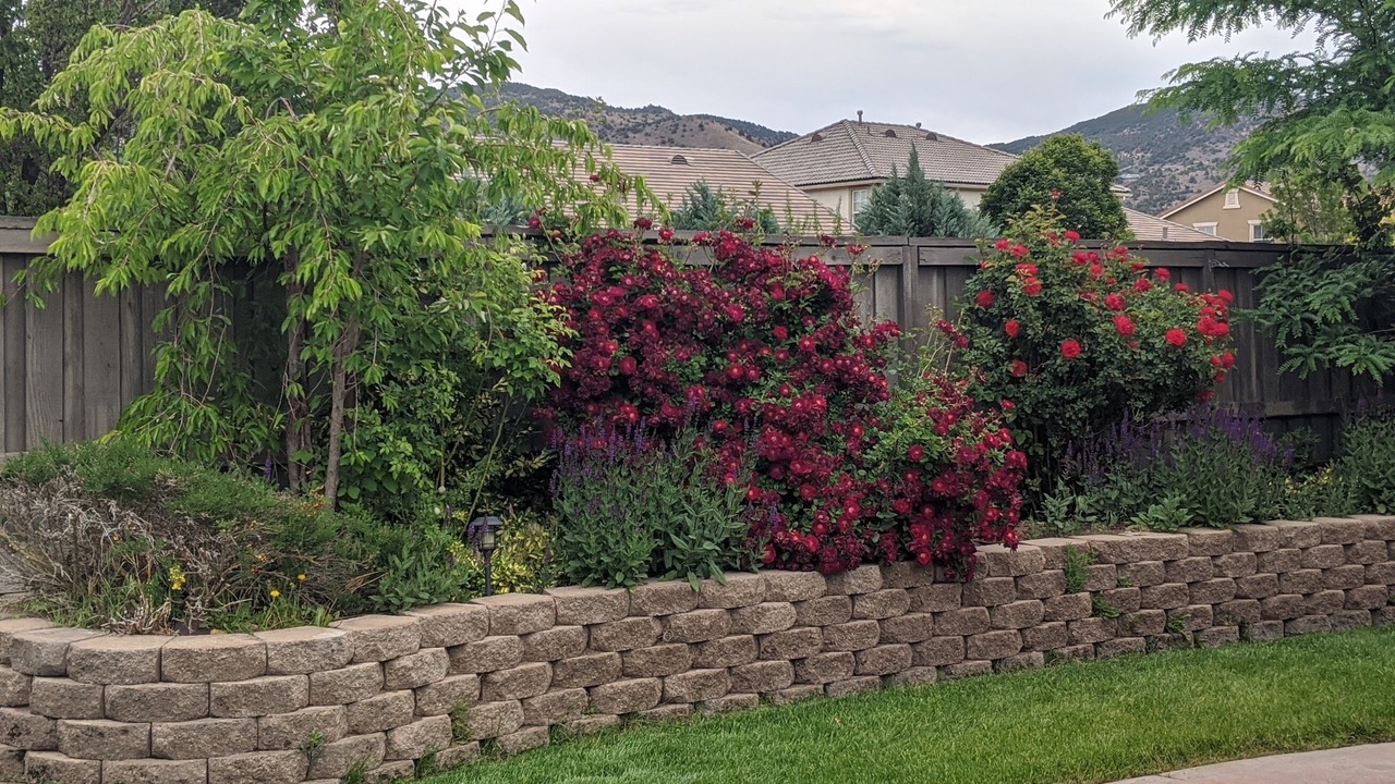 Photo of Outdoor in Reno