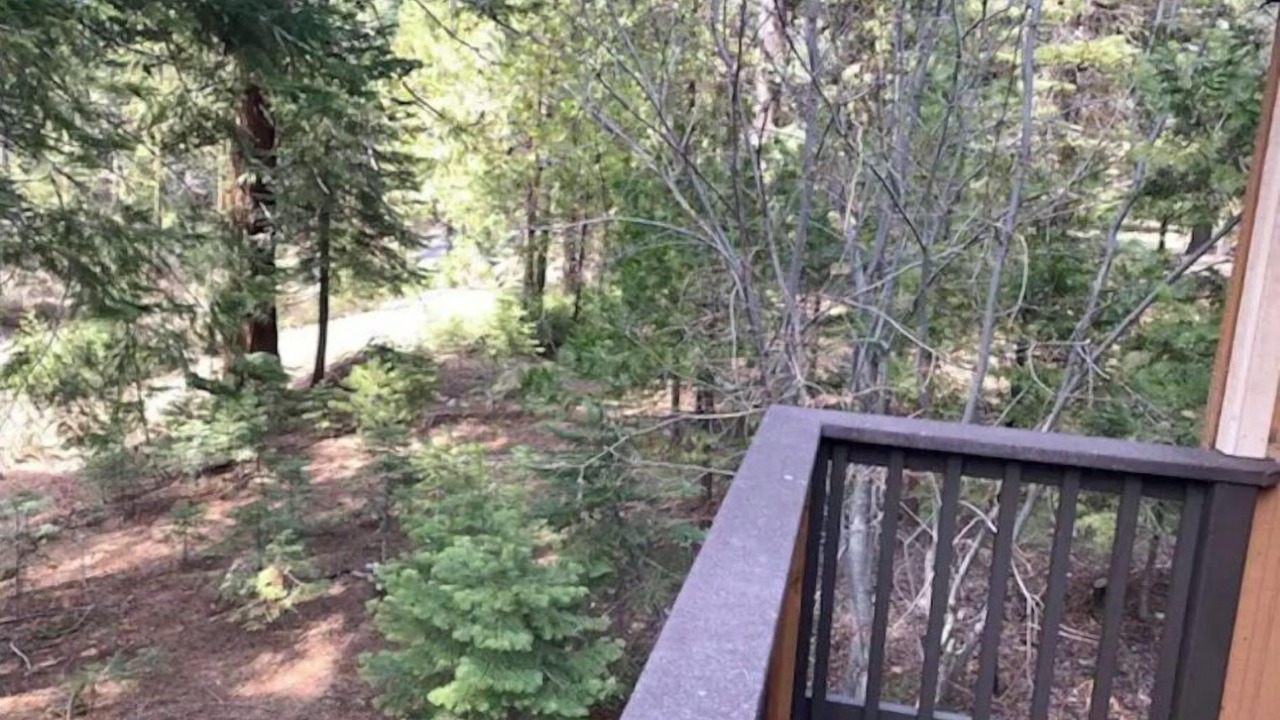 Photo of Outdoor in Shaver Lake