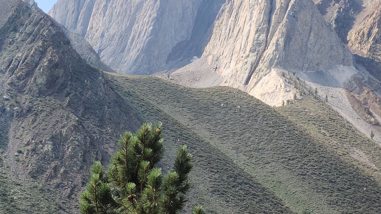 Photo of Outdoor in Crowley Lake