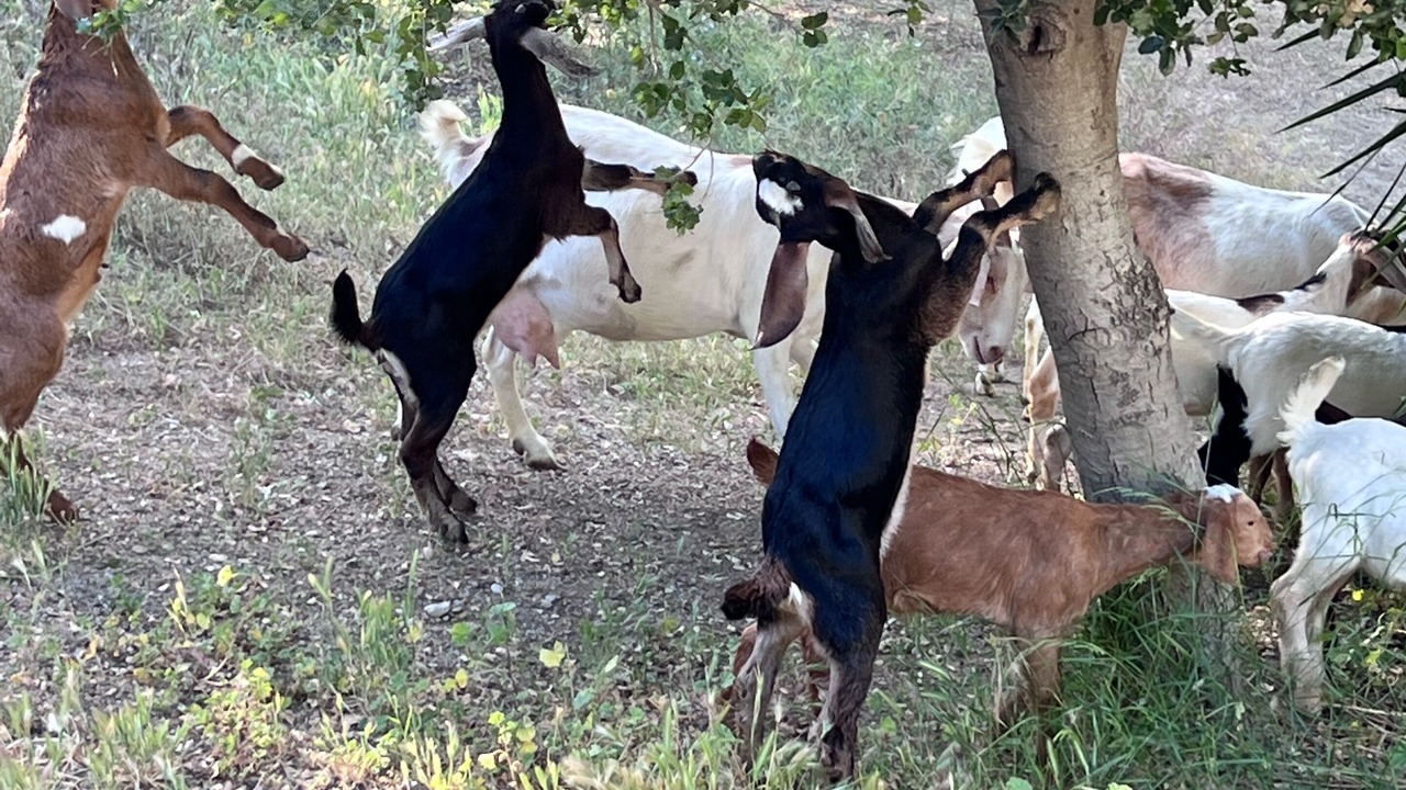 Photo of Others in Ventura County