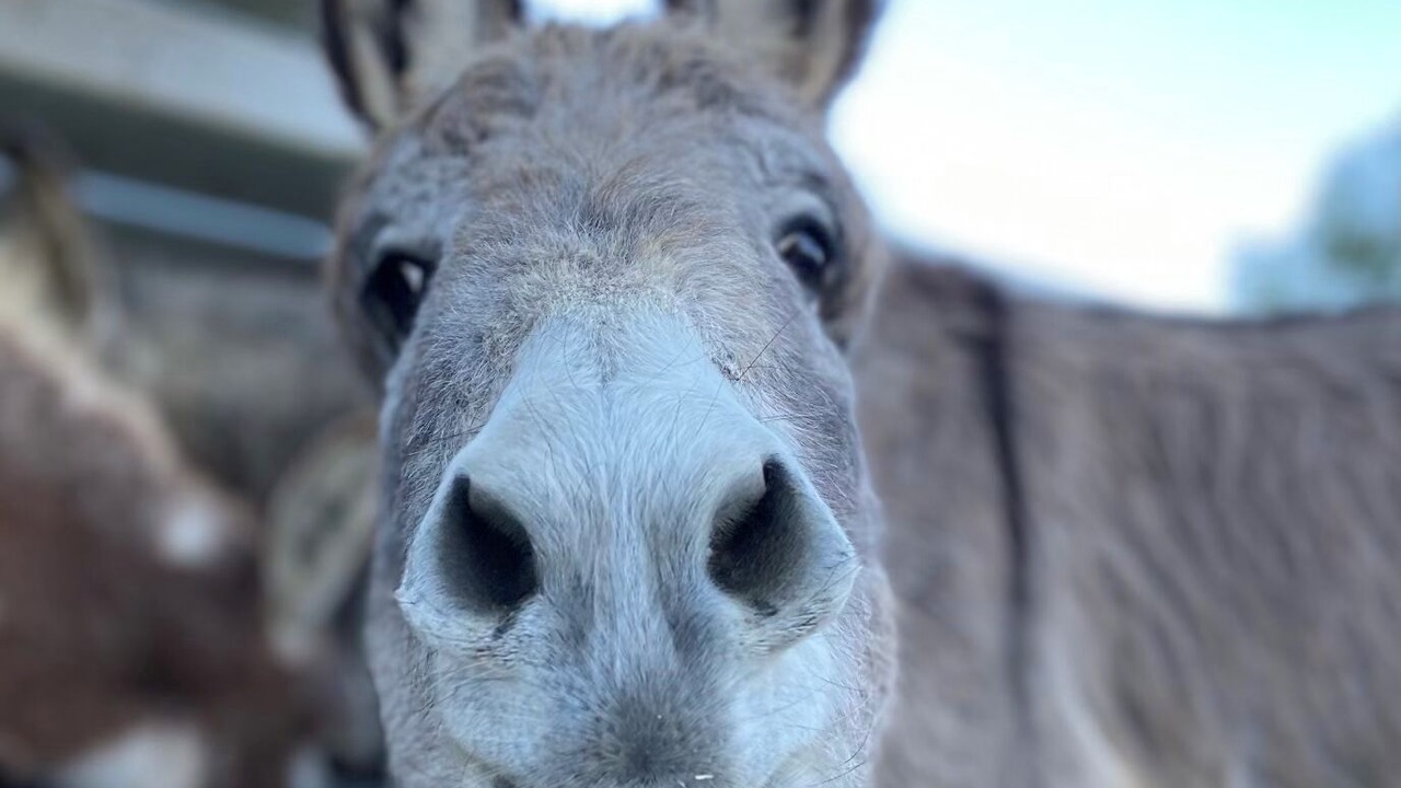 Photo of Others in Ventura County