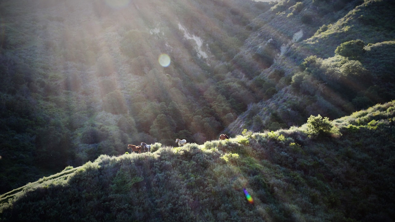 Photo of Others in Ventura County