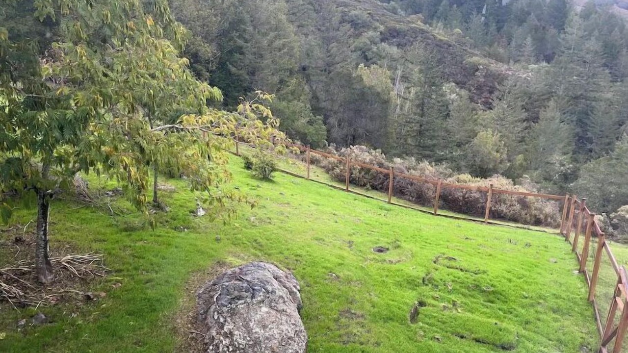 Photo of Outdoor in Nicasio