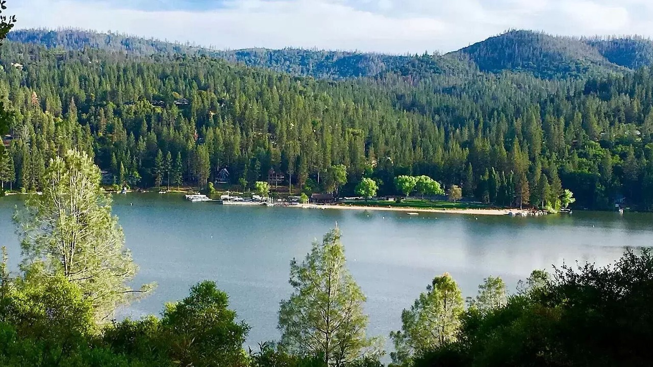 Photo of Outdoor in Groveland