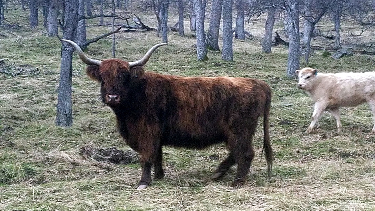Photo of Outdoor in Friant