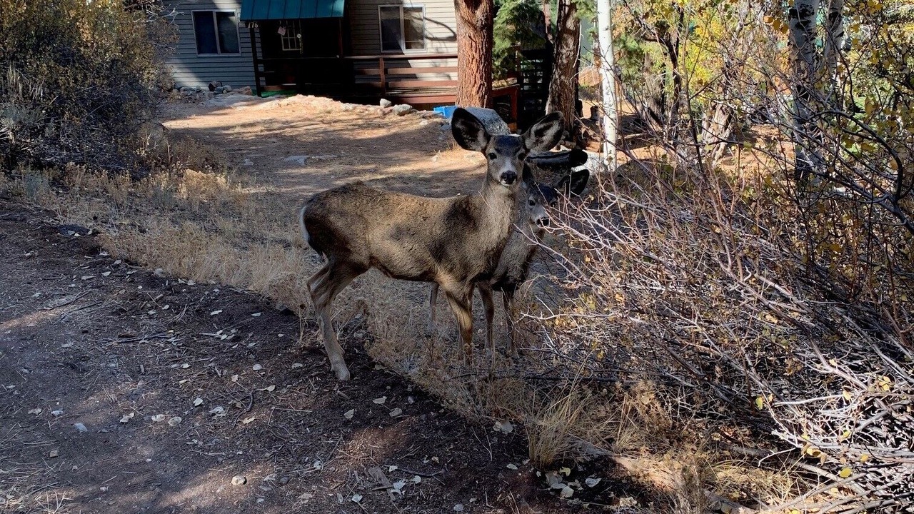Photo of Outdoor in Bridgeport