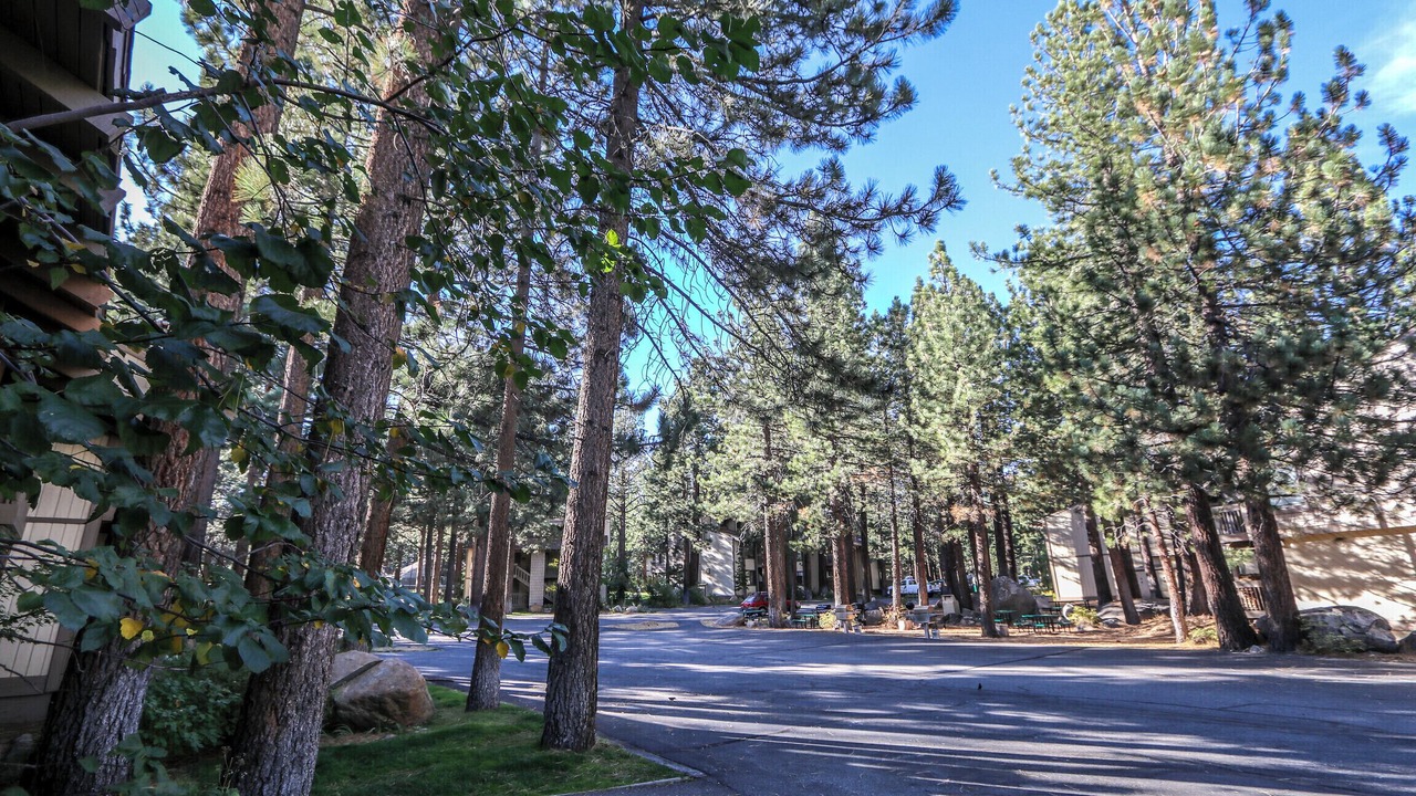 Photo of Outdoor in Sierra Holiday