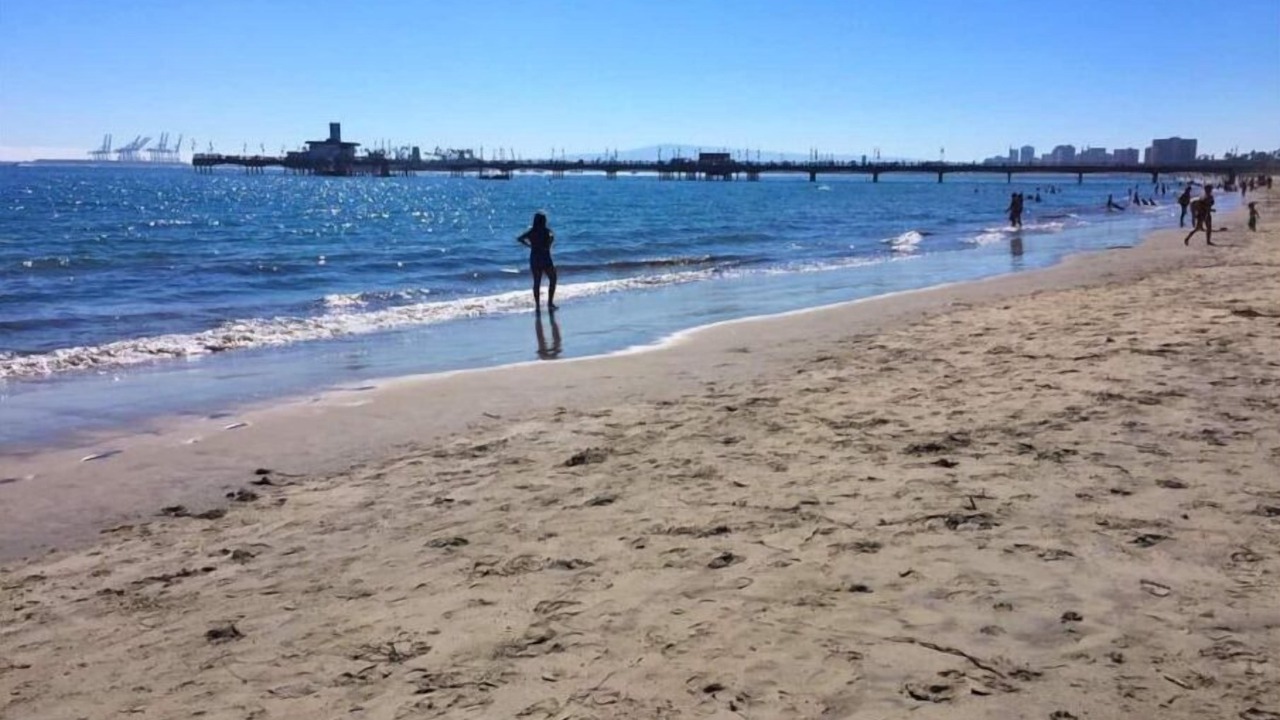 Photo of Others in Belmont Shore