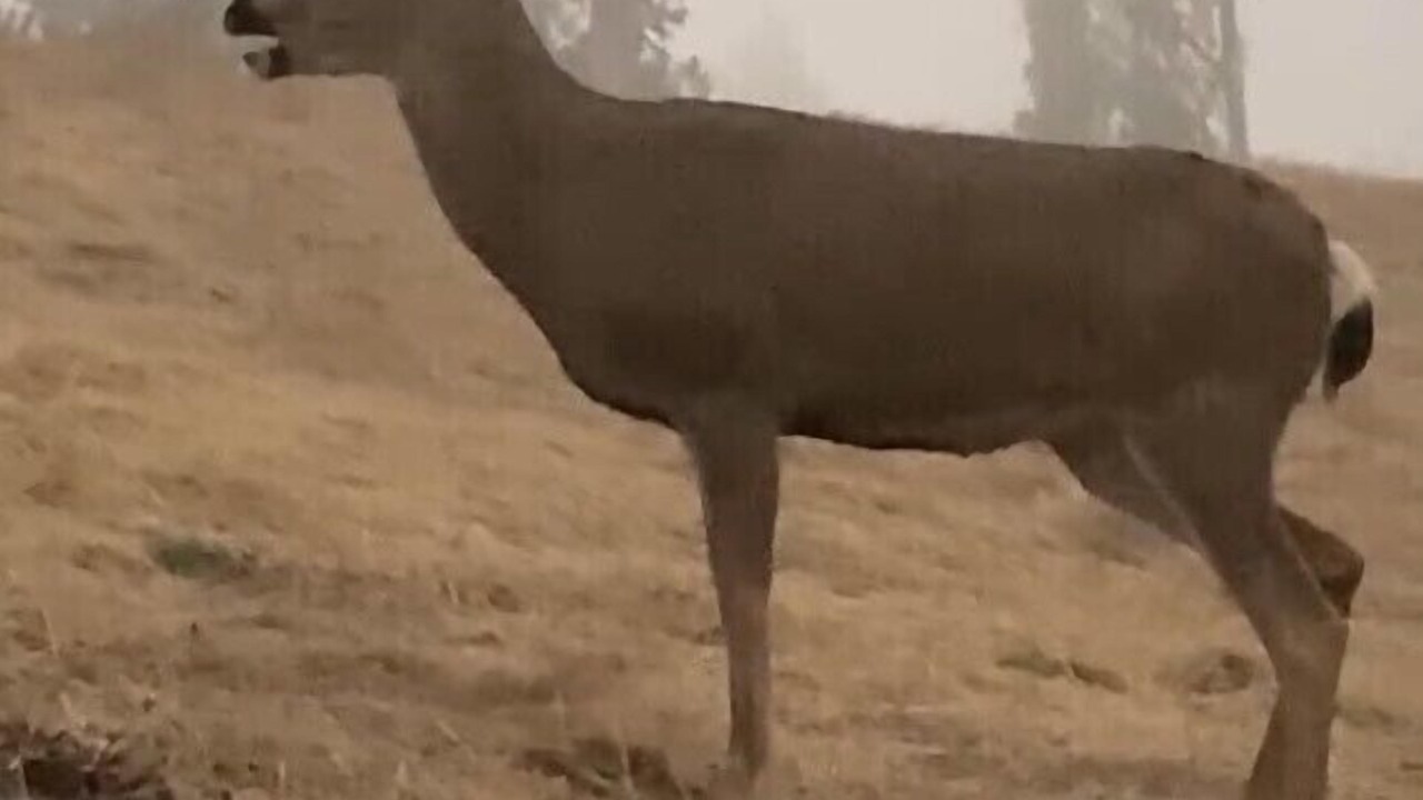 Photo of Others in Cambria