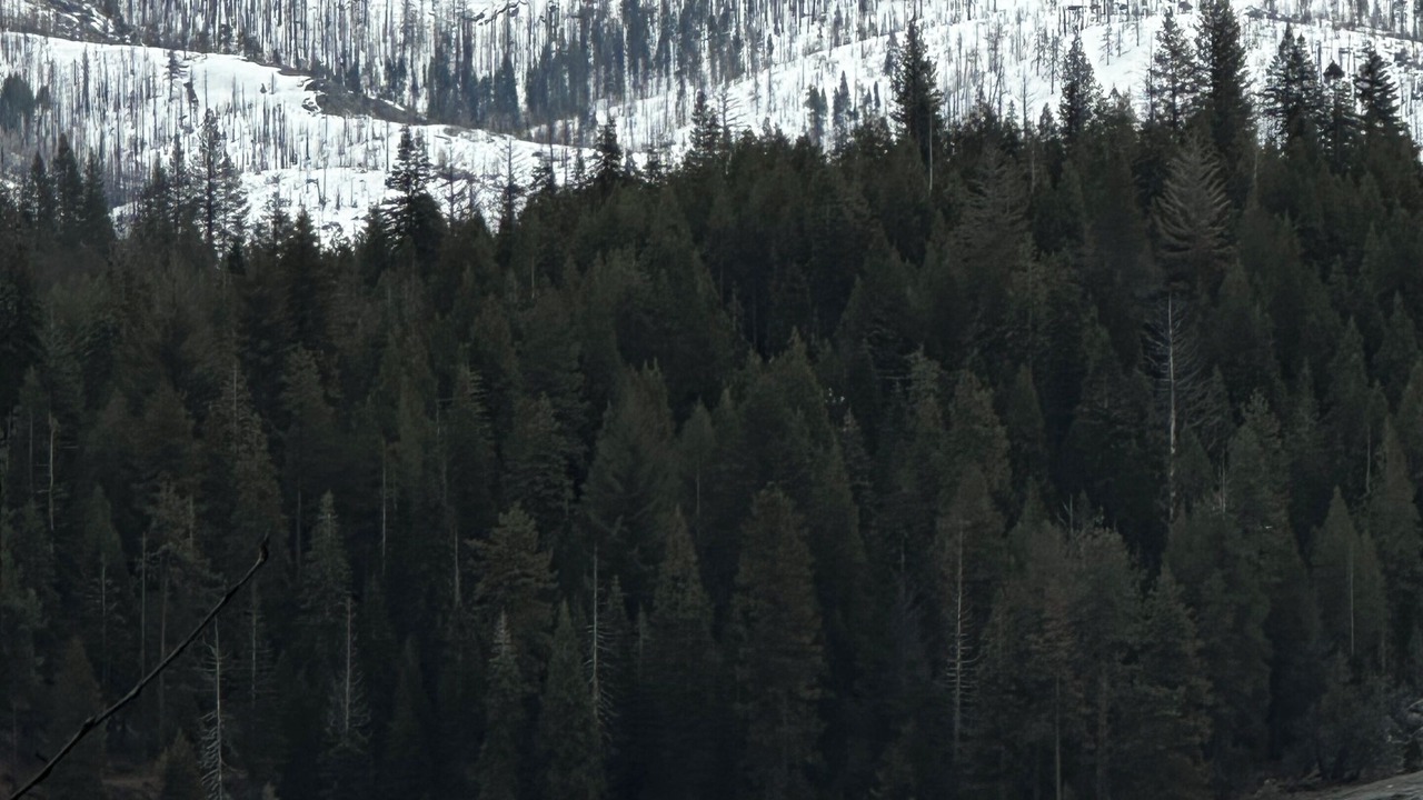 Photo of Outdoor in Sierra Cedars