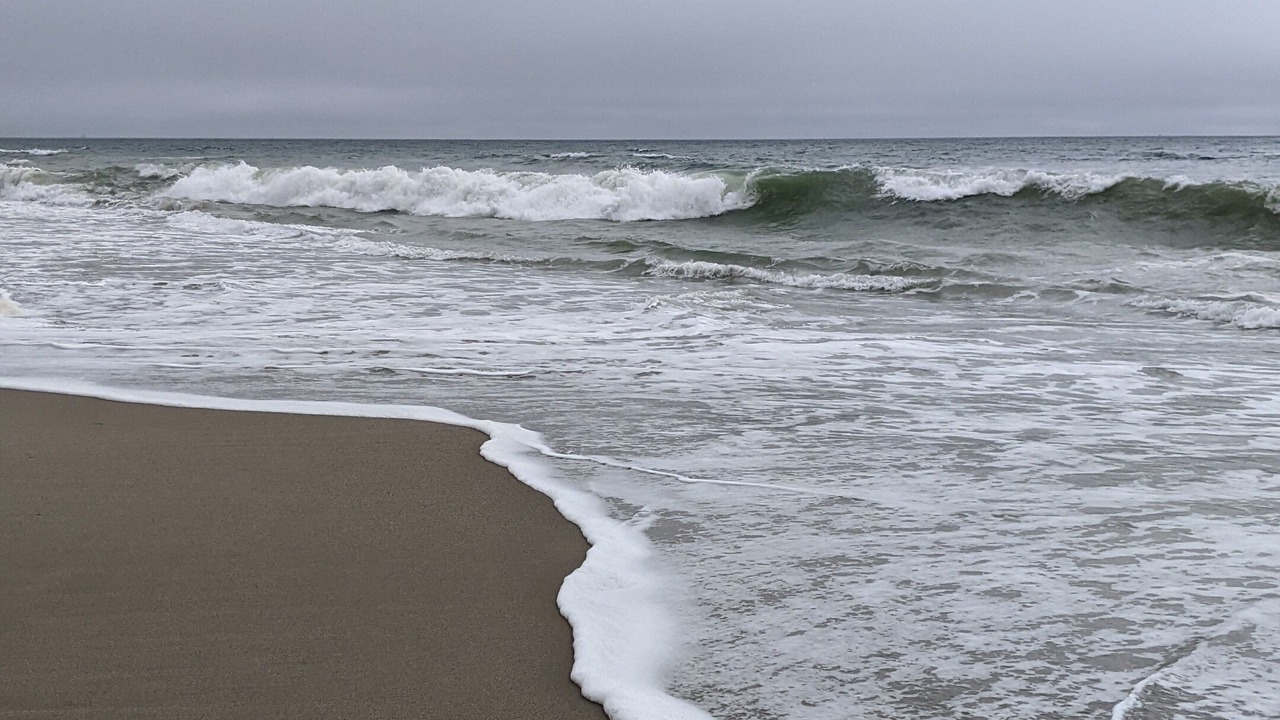 Photo of Others in Oxnard Shores