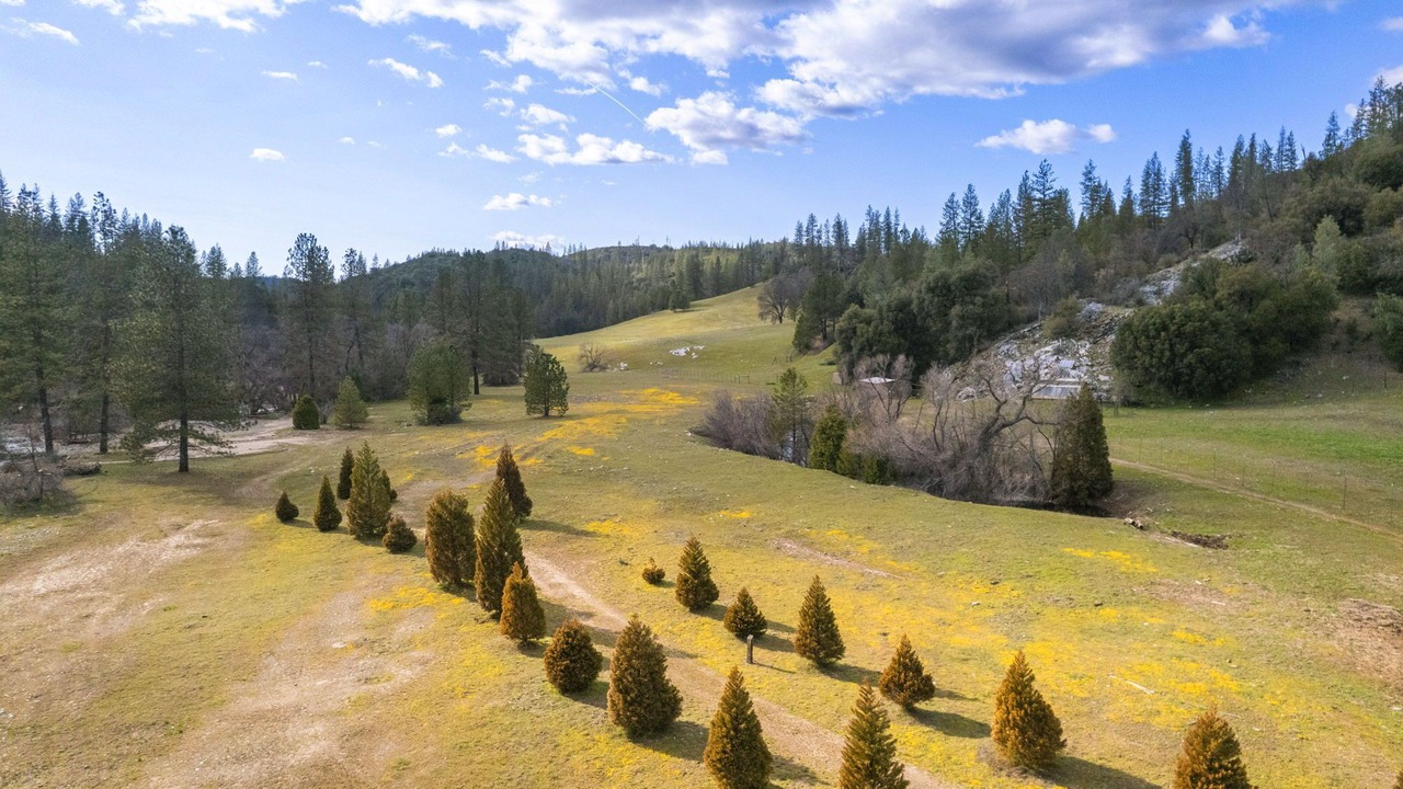 Photo of Outdoor in Coulterville