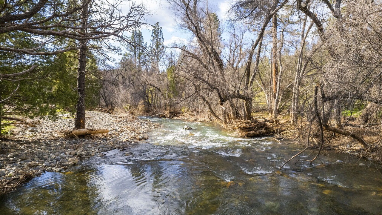 Photo of Outdoor in Coulterville