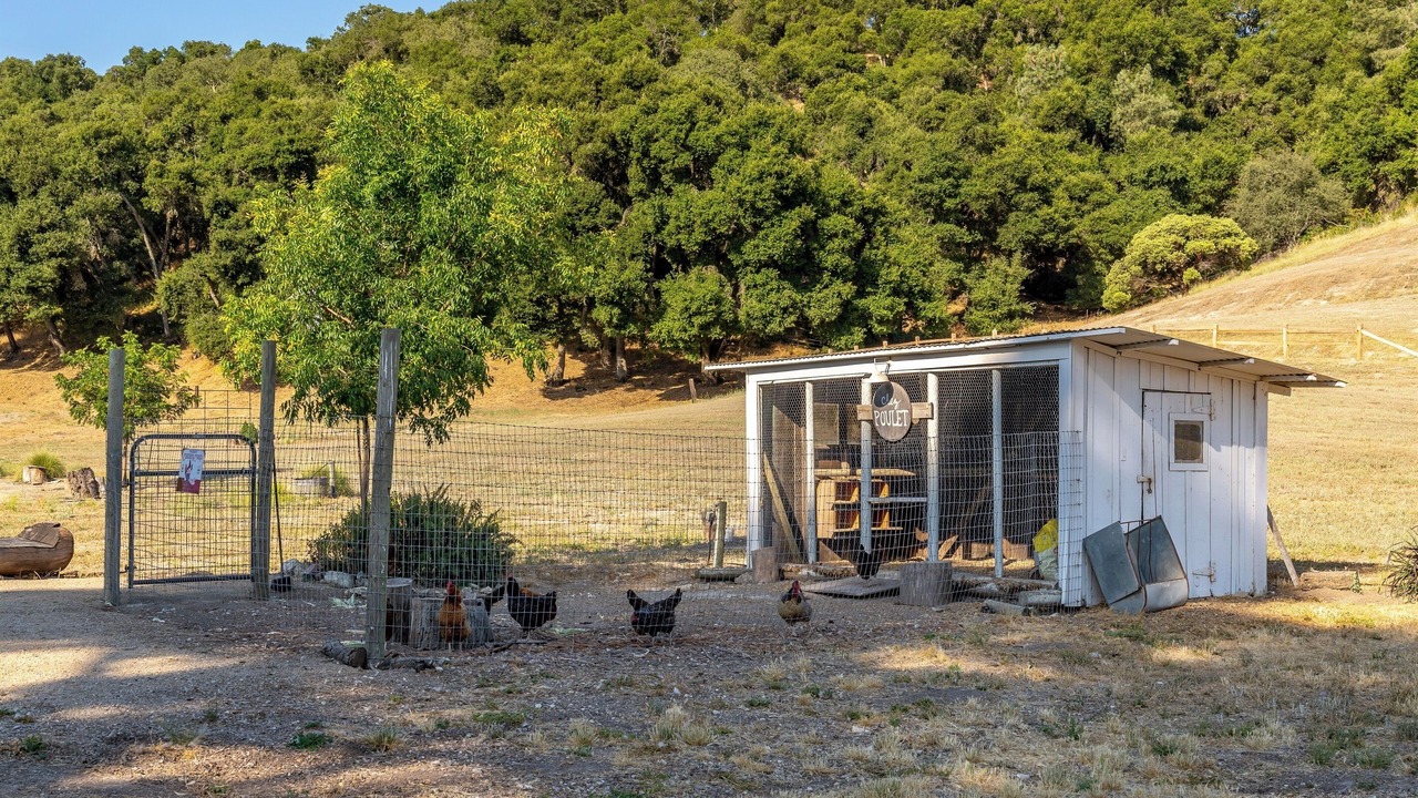 Photo of Others in Paso Robles