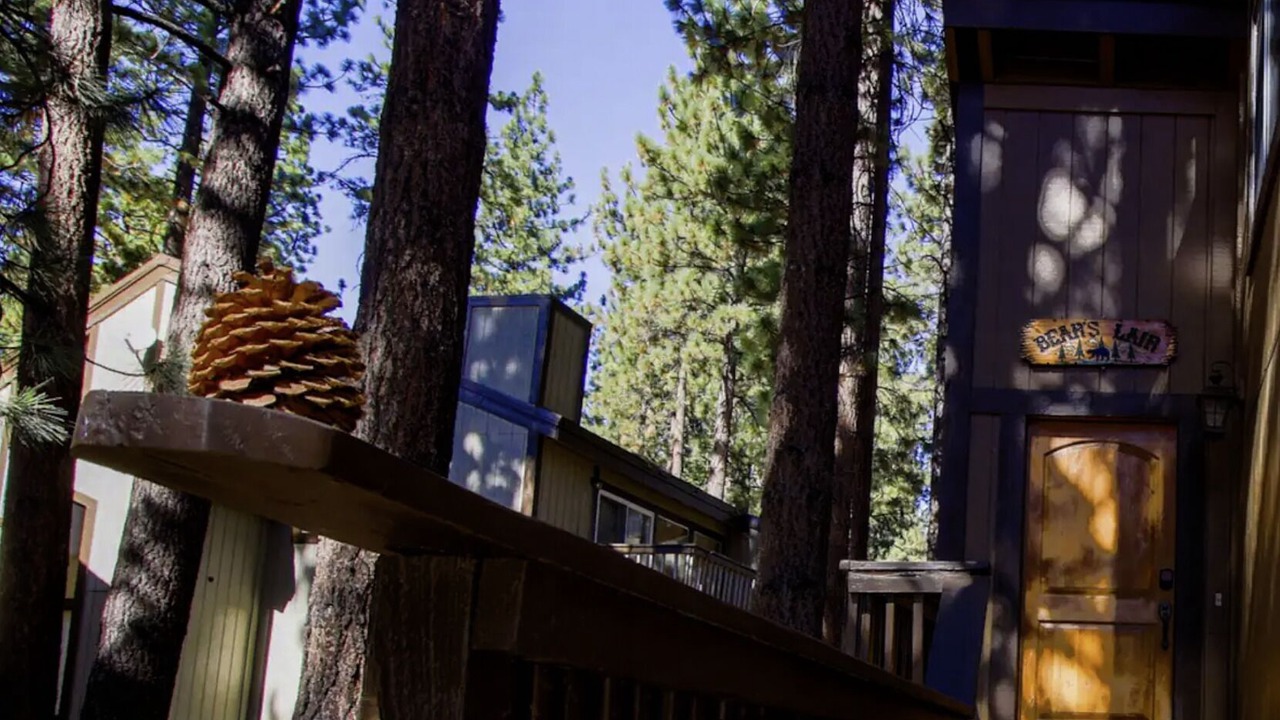 Photo of Others in Zephyr Cove